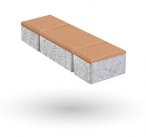 SALMÓN